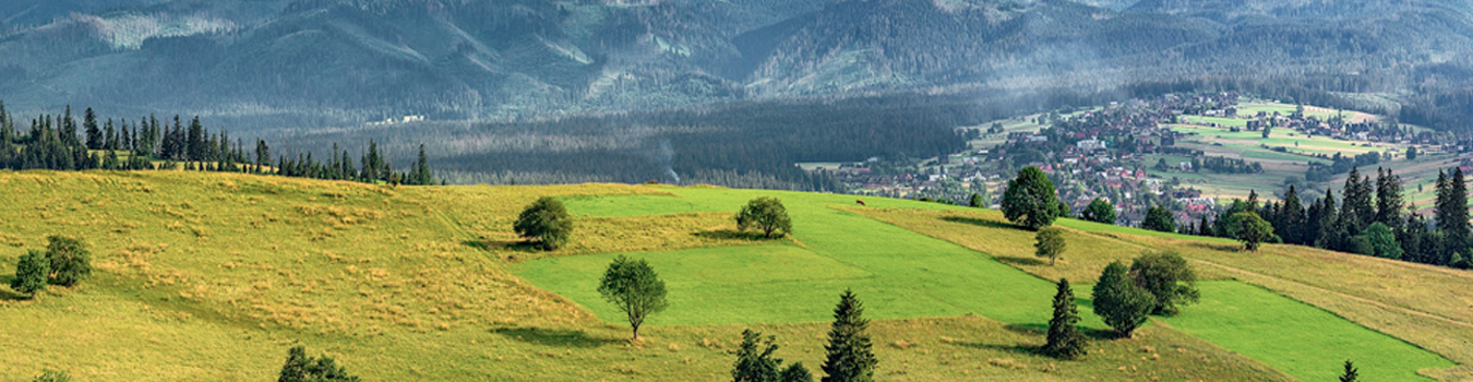 Photo: Environmental management system